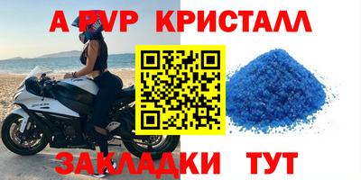 соль ск Кингисепп