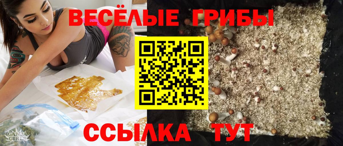 Псилоцибиновые грибы MAGIC MUSHROOMS Сосновоборск