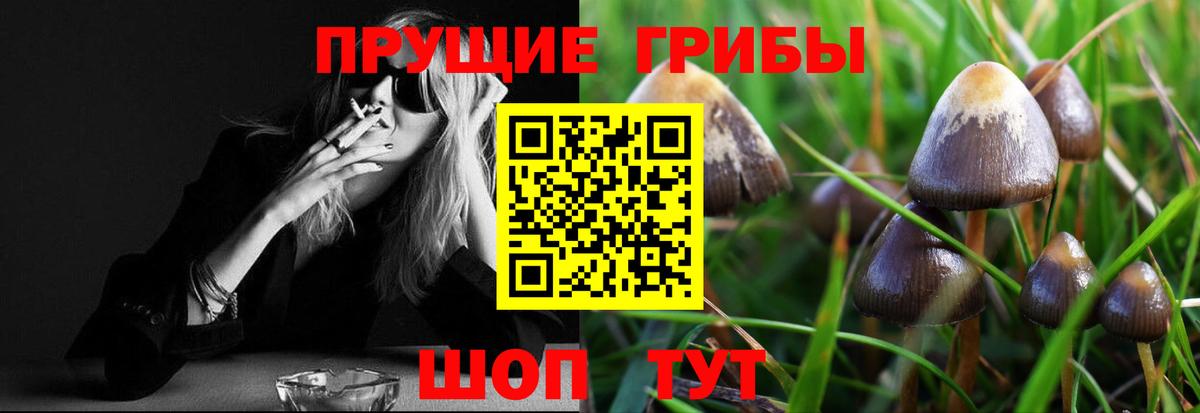 Псилоцибиновые грибы GOLDEN TEACHER  Псилоцибиновые грибы GOLDEN TEACHER  Сосновоборск 